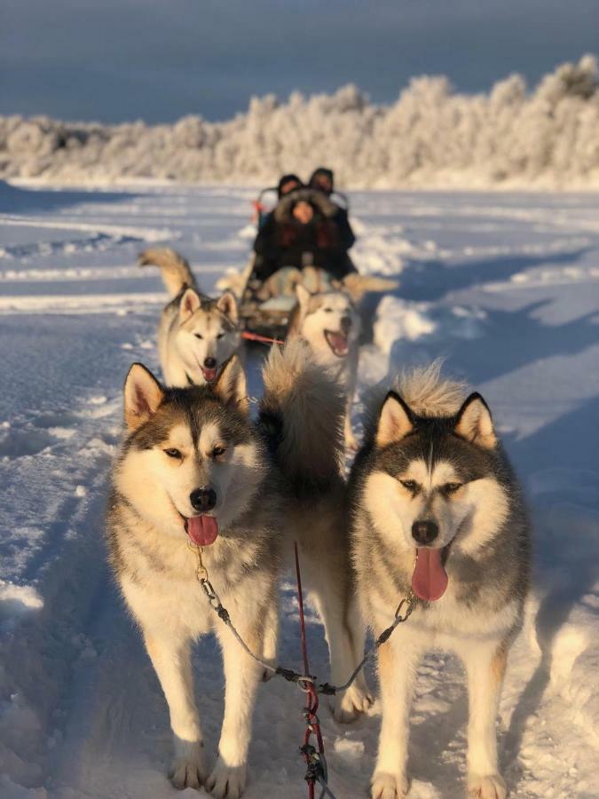 Scandinavian Home Рованіемі Екстер'єр фото